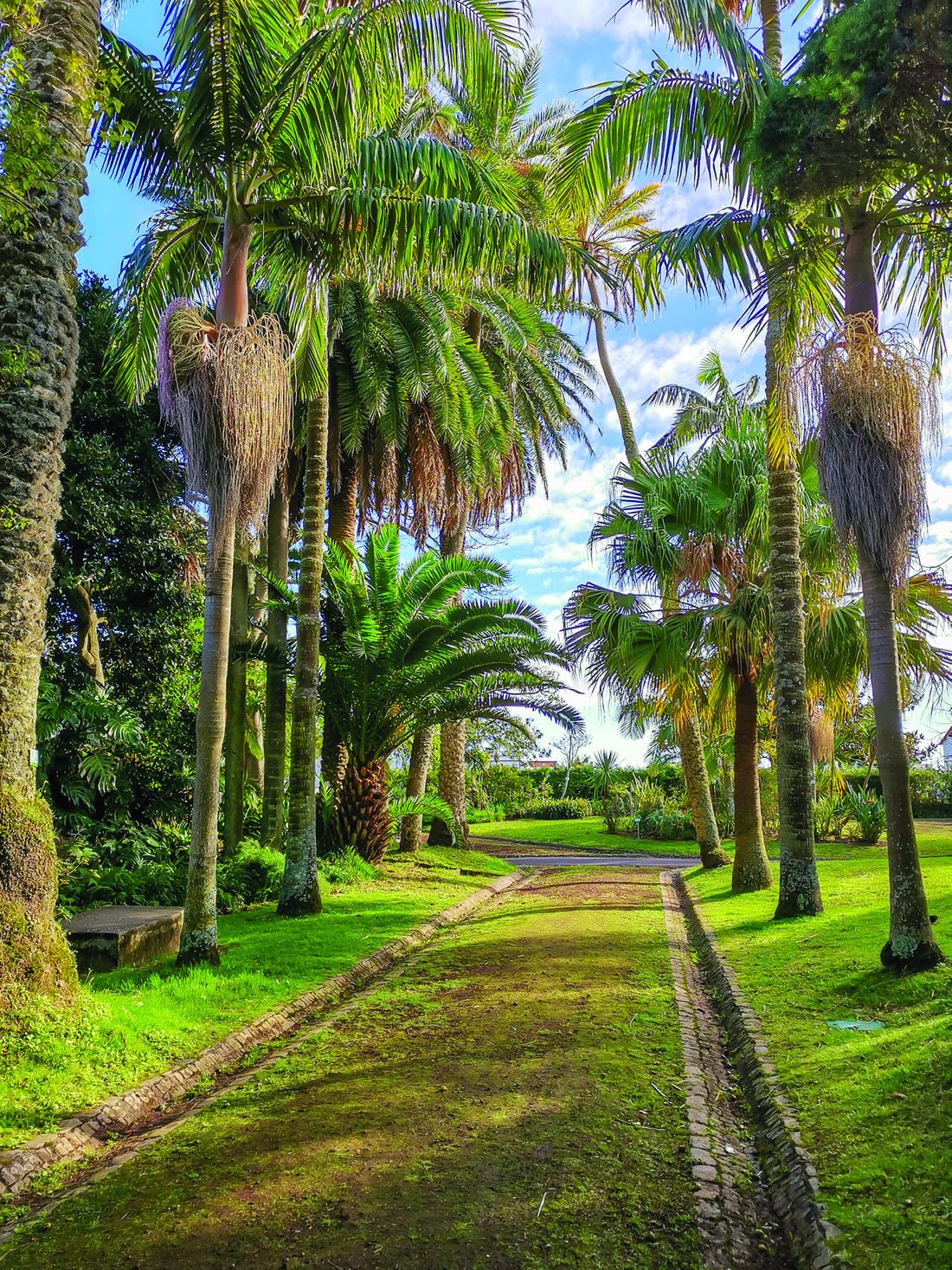 António Borges Garden