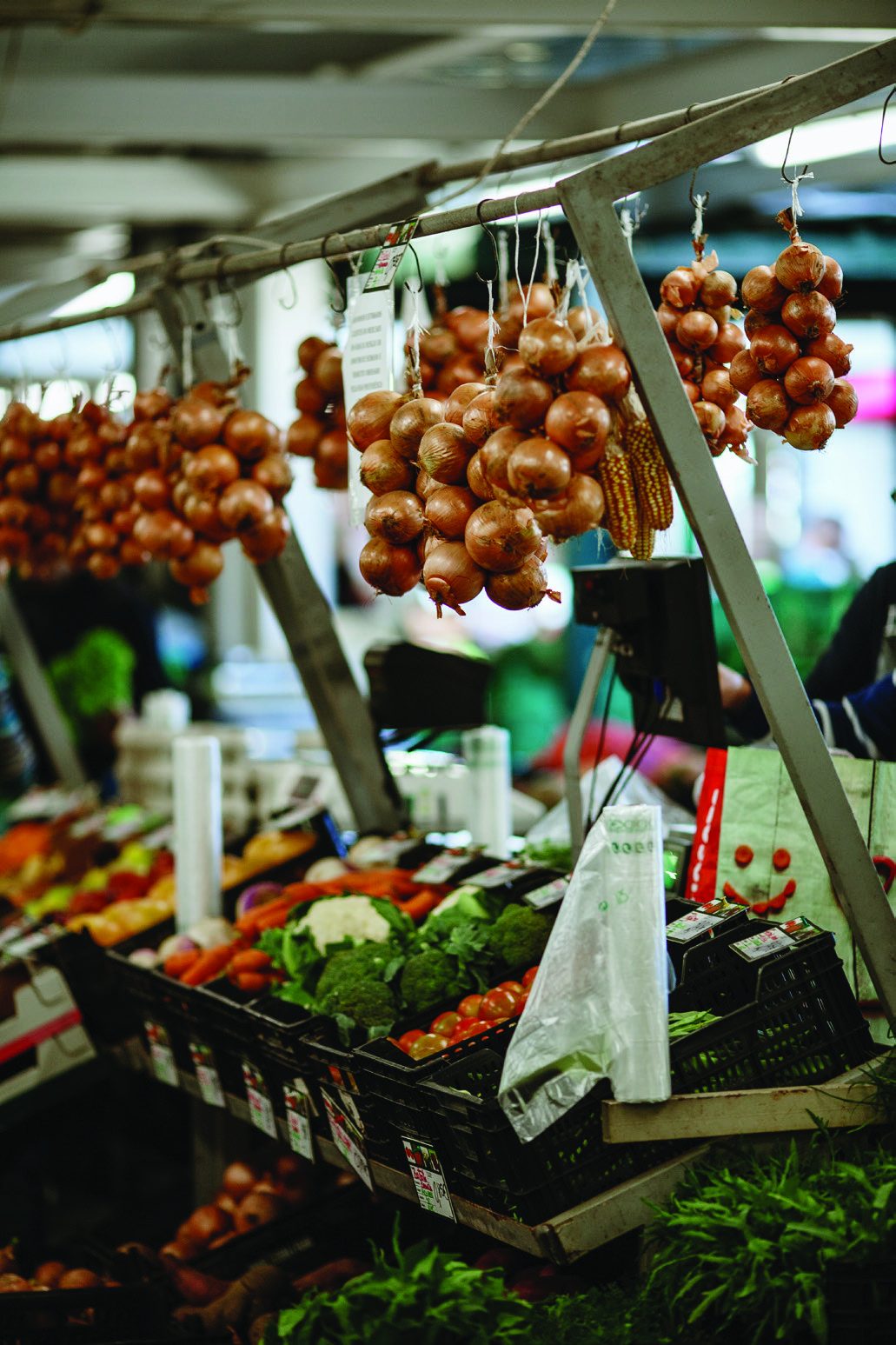 Mercado da Graça
